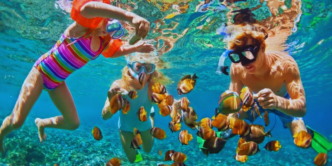 coral-island-sea-walk