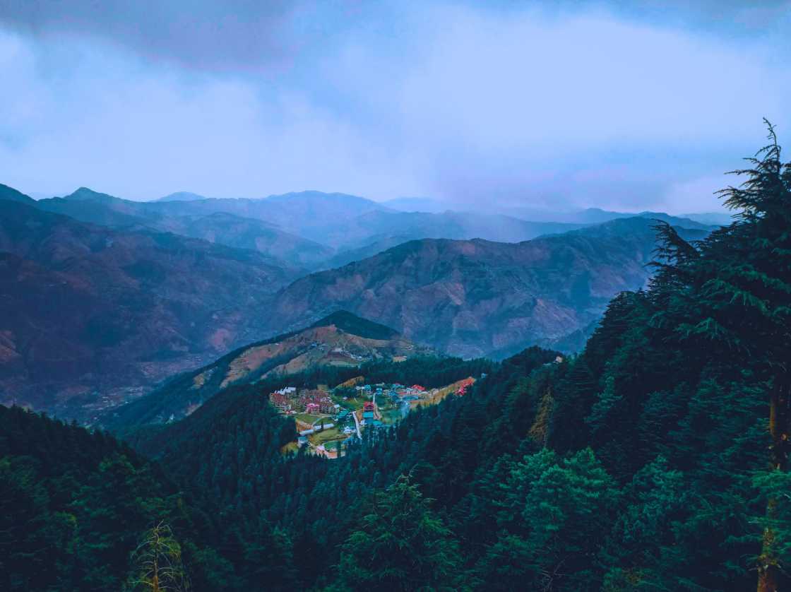 fagu shimla pinen tree covered hill ranges