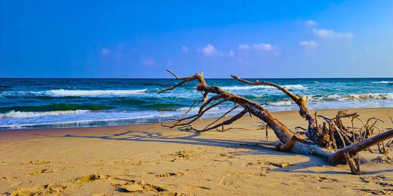 paradise-beach-log-pondicherry