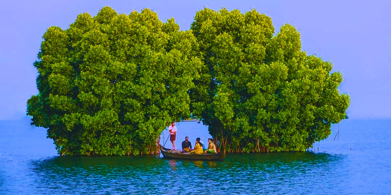 kerala munroe island canoe in mangrove arch